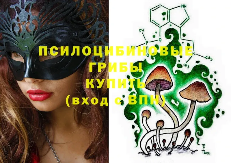 Псилоцибиновые грибы Psilocybe  Химки 